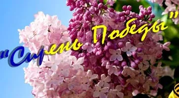 http://www.ognikuban.tw1.ru/wp-content/uploads/2015/05/siren1