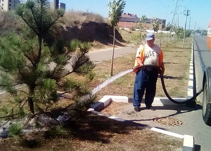 https://ognikubani.ru/wp-content/uploads/2020/09/WhatsApp-Image-2020-09-01-at-15.15.46