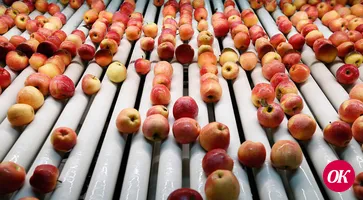 Сельхозпредприятие Кубани повысило выработку продукции на 10% благодаря бережливым технологиям