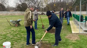 photo_2024-11-12_13-54-14