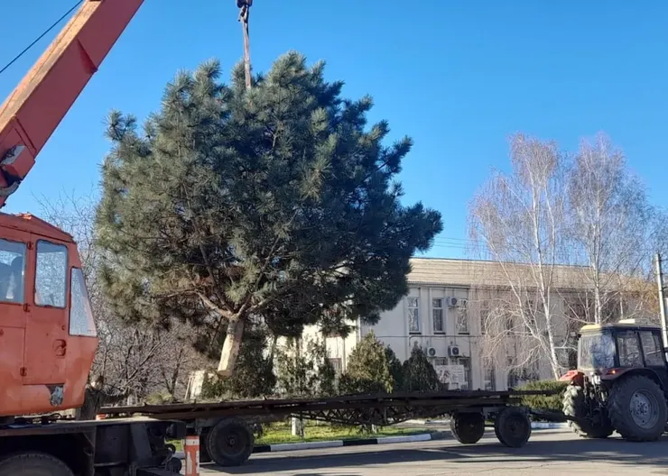 photo_2024-12-04_16-21-16