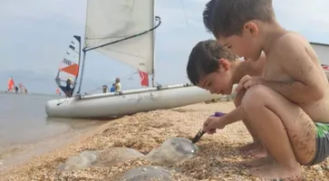 https://ognikubani.ru/wp-content/uploads/2021/08/ognikubani.ru-31