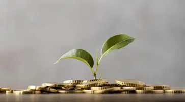 https://ognikubani.ru/wp-content/uploads/2023/02/front-view-of-plant-growing-from-golden-coins