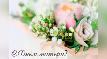 https://ognikubani.ru/wp-content/uploads/2021/11/ognikubani.ru-1-18