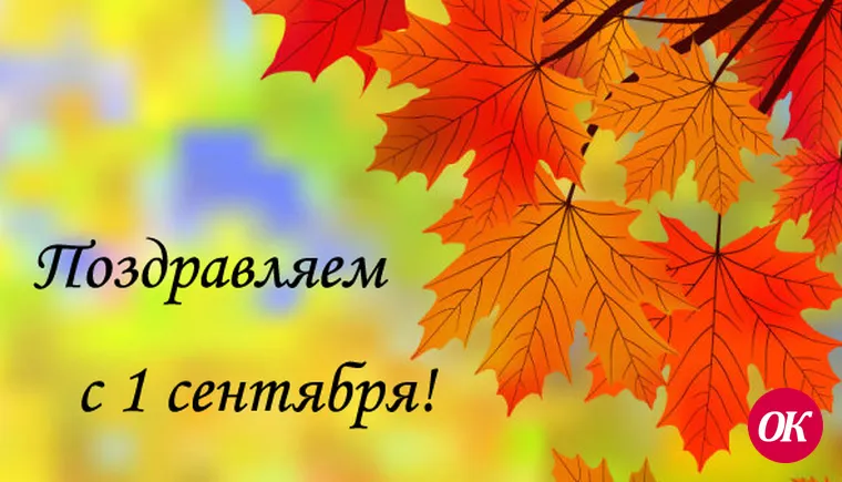 Дорогие друзья!