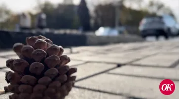 Синоптики обещают дожди и похолодание