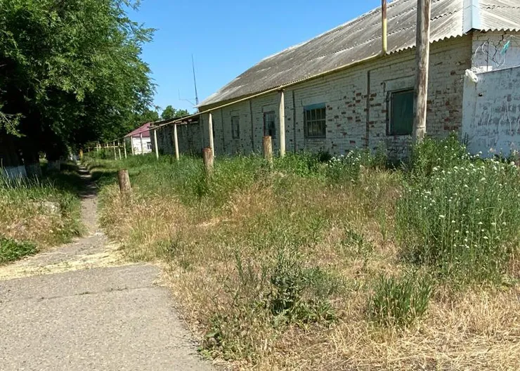 https://ognikubani.ru/wp-content/uploads/2022/06/photo_2022-06-07_15-37-43_1