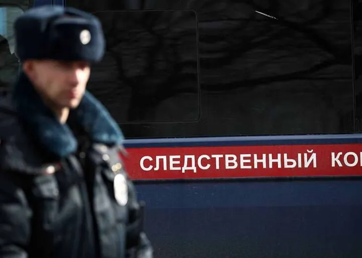 https://ognikubani.ru/wp-content/uploads/2020/12/ognikubani.ru-1-2