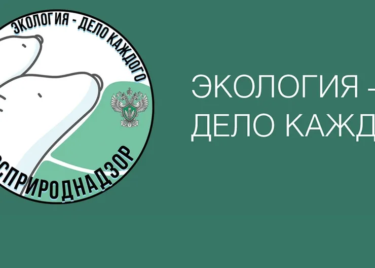 https://ognikubani.ru/wp-content/uploads/2021/12/ognikubani.ru-1-7