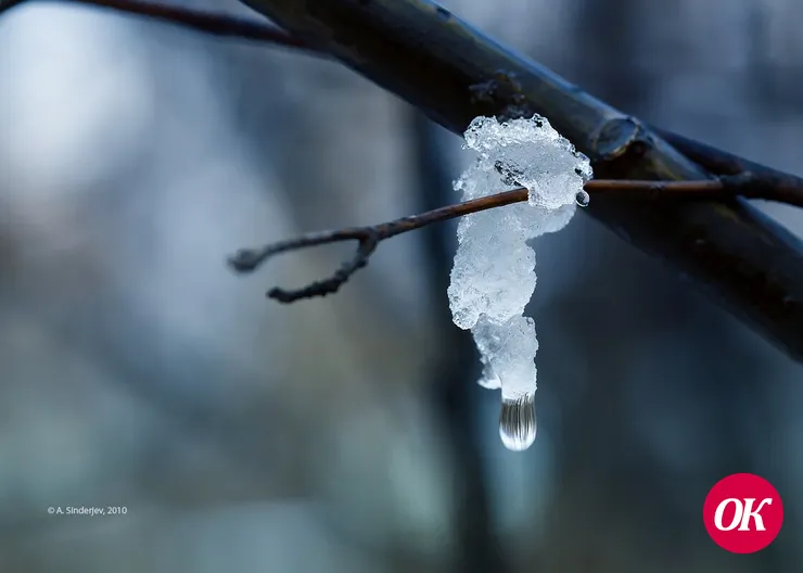 В выходные на Кубани потеплеет до 14 °С