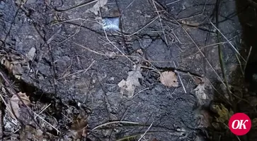 В Кавказском районе полицейские пресекли незаконный оборот наркотиков
