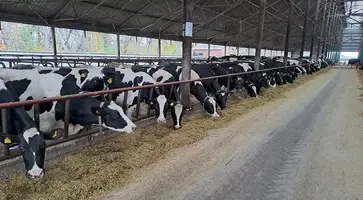 https://ognikubani.ru/wp-content/uploads/2022/11/0yrj3bwo5rpksbzfvoak2g4f029k3f1r_1