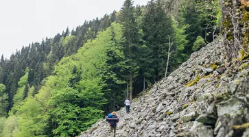 https://ognikubani.ru/wp-content/uploads/2023/06/pokhody-53569260b4