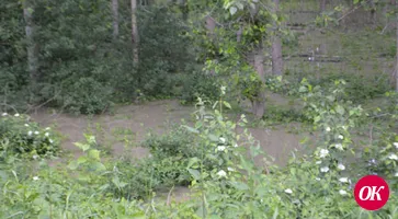 Кубань в разливе