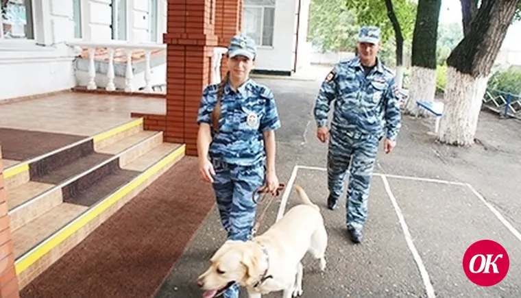 Гарантия безопасности выборов