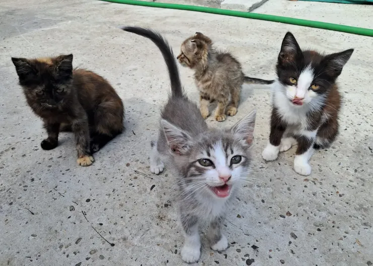 WhatsApp Image 2025-06-21 at 16.17.27 (2)