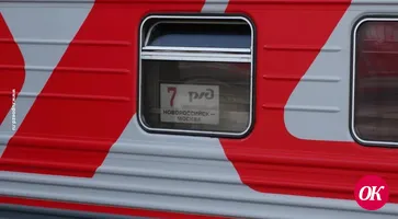За хулиганство в пассажирском поезде «Новороссийск-Москва» задержали жительницу Самары
