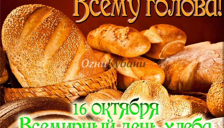 https://ognikubani.ru/wp-content/uploads/2019/10/scale_1200