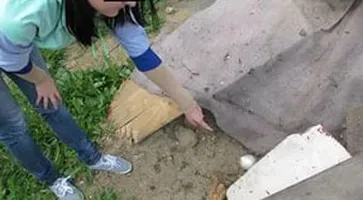http://www.ognikuban.tw1.ru/wp-content/uploads/2016/11/zakladki56789i