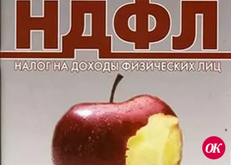 Плюсы и минусы НДФЛ