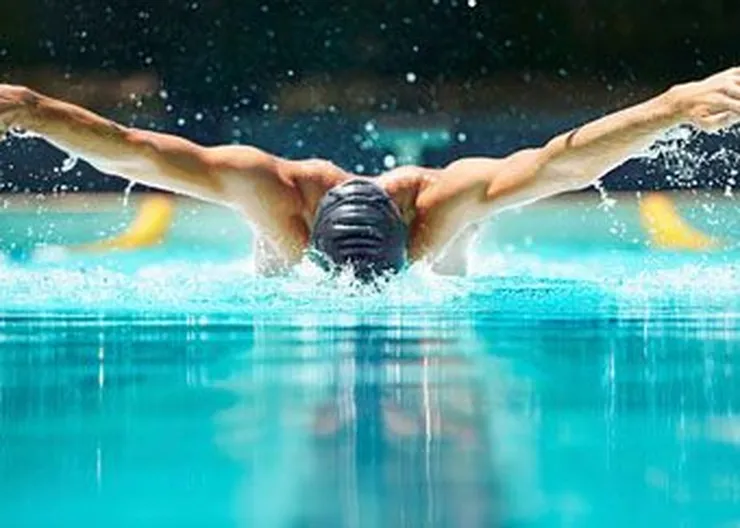 http://www.ognikuban.tw1.ru/wp-content/uploads/2017/11/karelskie-sportsmeny-zavoevali-medali-nachempionyu_1