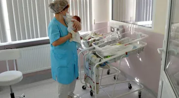 https://ognikubani.ru/wp-content/uploads/2022/02/ognikubani.ru-1-13