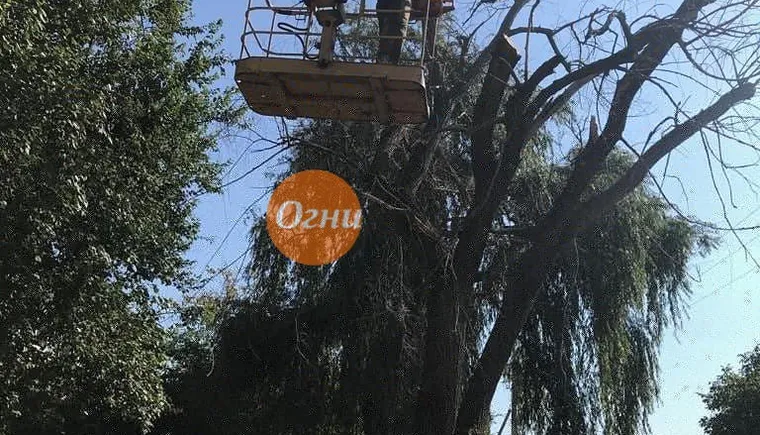 https://ognikubani.ru/wp-content/uploads/2019/09/IMG_20190913_105906_308