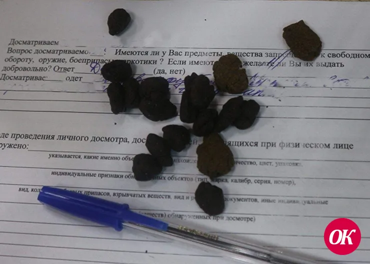 В Краснодарском крае сотрудники транспортной полиции изъяли из незаконного оборота гашиш