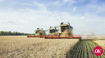 <strong>Ячмень убран на 83% занятой ею площади на полях Кавказского района</strong>