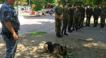 https://ognikubani.ru/wp-content/uploads/2023/07/Тайга-2