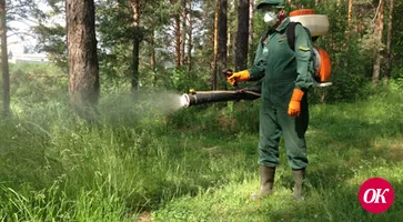 Вдруг, откуда ни возьмись, — маленький комарик...