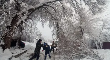 photo_2026-01-02_11-11-16