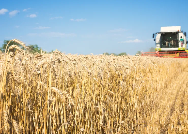 https://ognikubani.ru/wp-content/uploads/2022/12/combine-harvester-working-wheat-field-1_1
