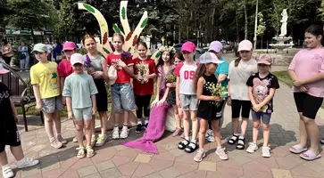 5339353353995547253
