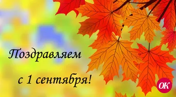 Дорогие друзья!