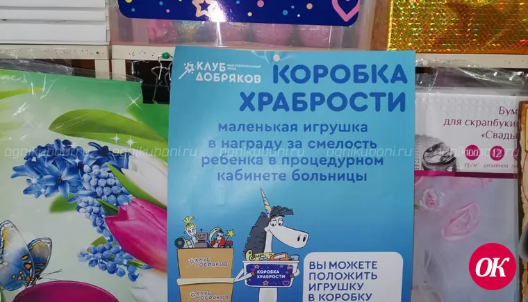 В филиале известного федерального «Клуба добряков» открылись пять пунктов сбора игрушек
