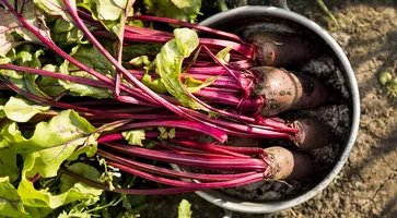 https://ognikubani.ru/wp-content/uploads/2023/03/top-view-vegetables-in-pot