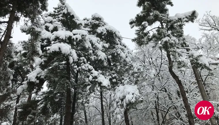 Кропоткин в снежном убранстве
