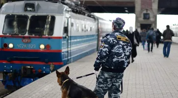 https://ognikubani.ru/wp-content/uploads/2021/10/ognikubani.ru-2-4