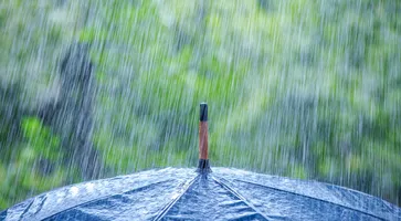 https://ognikubani.ru/wp-content/uploads/2020/07/Nature___Other_Rain_on_a_black_umbrella_107206_