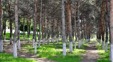 http://www.ognikuban.tw1.ru/wp-content/uploads/2017/03/v_parke_30-letija_pobedislide0077_image039
