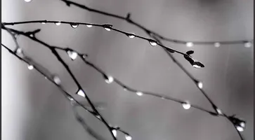 https://ognikubani.ru/wp-content/uploads/2021/03/4563659_large