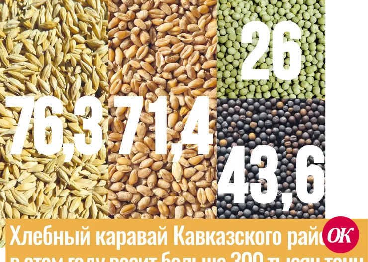 За последние пять лет общая сумма субсидий в отрасль АПК Кавказского района составила 682 миллиона рублей