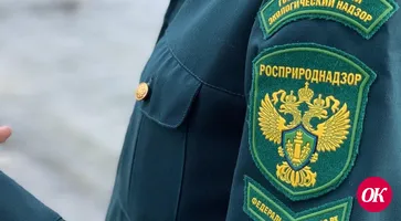 Победители и призеры премии Росприроднадзора получат дополнительные баллы при поступлении в ВУЗы