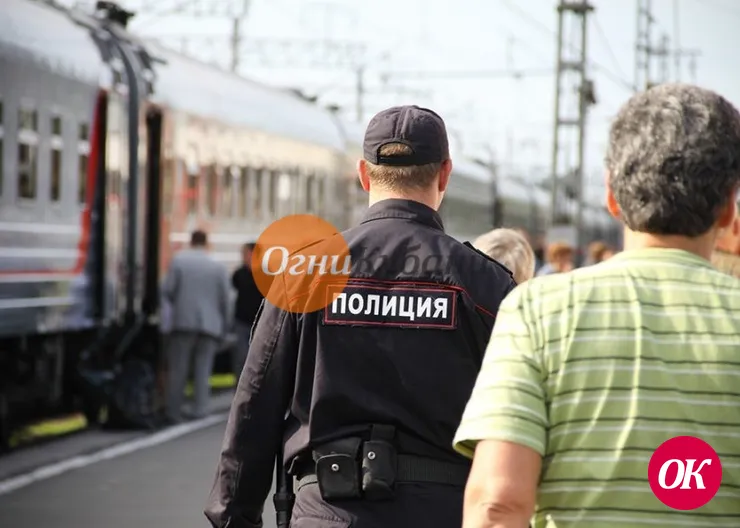 Транспортные полицейские привлекли к ответственности дебошира