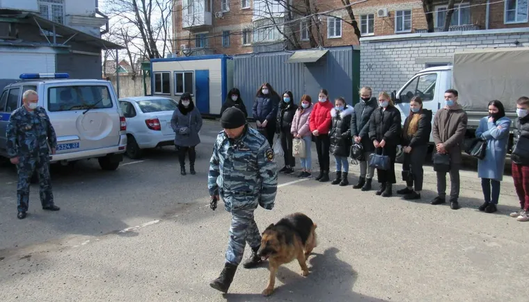 https://ognikubani.ru/wp-content/uploads/2022/03/ognikubani.ru-5-9