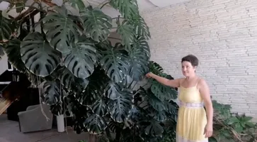 https://ognikubani.ru/wp-content/uploads/2020/09/118504617_184538039775528_7388415967565272511_n.mp4_snapshot_01.05.965