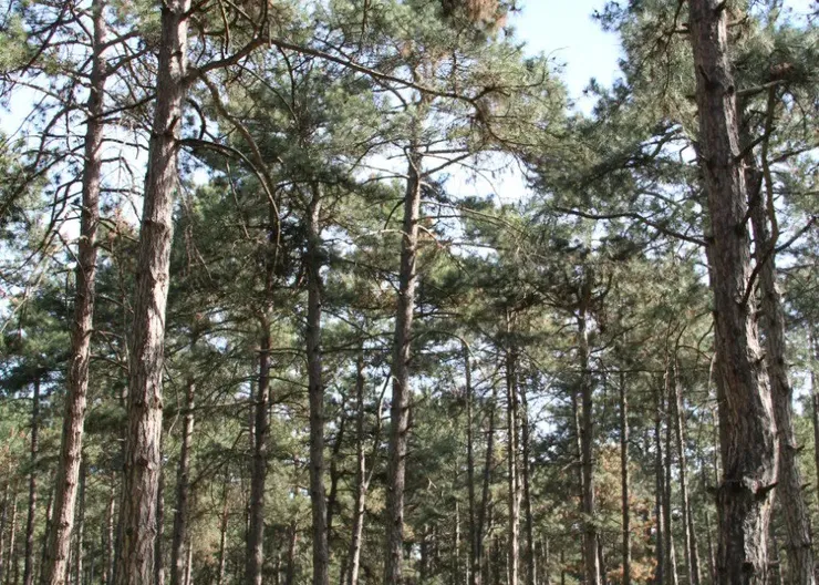 photo_5348035286787025193_y