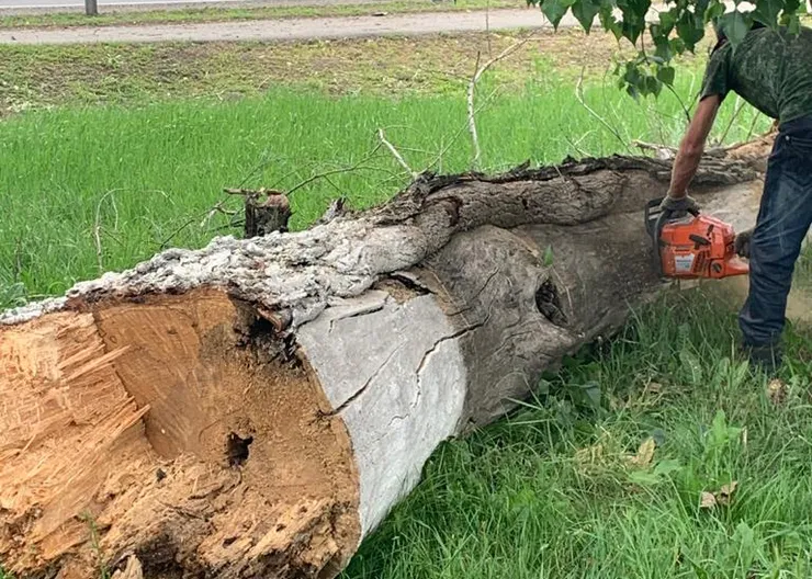 https://ognikubani.ru/wp-content/uploads/2020/06/WhatsApp-Image-2020-06-15-at-14.46.33