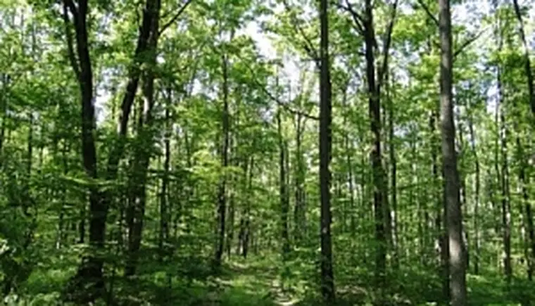 http://www.ognikuban.tw1.ru/wp-content/uploads/2017/07/cb201d70980279def8f3581e3145f679